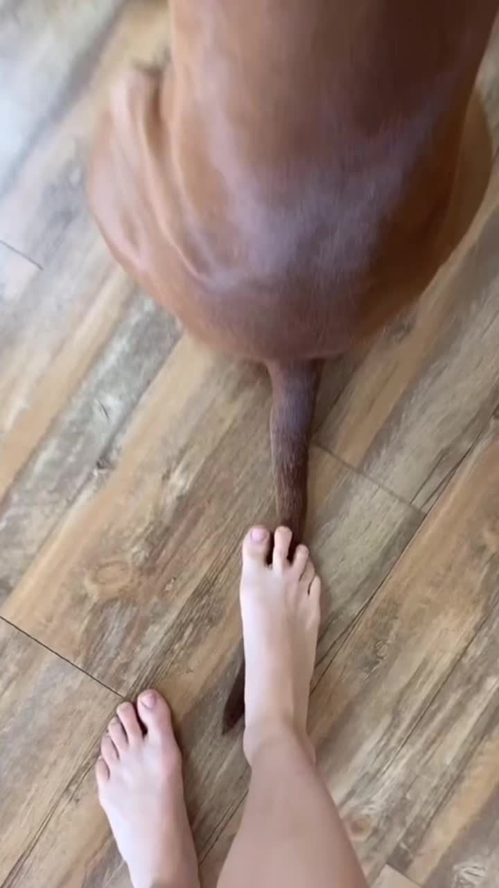 @Houseday007