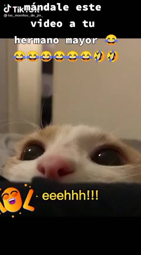@KEYYI