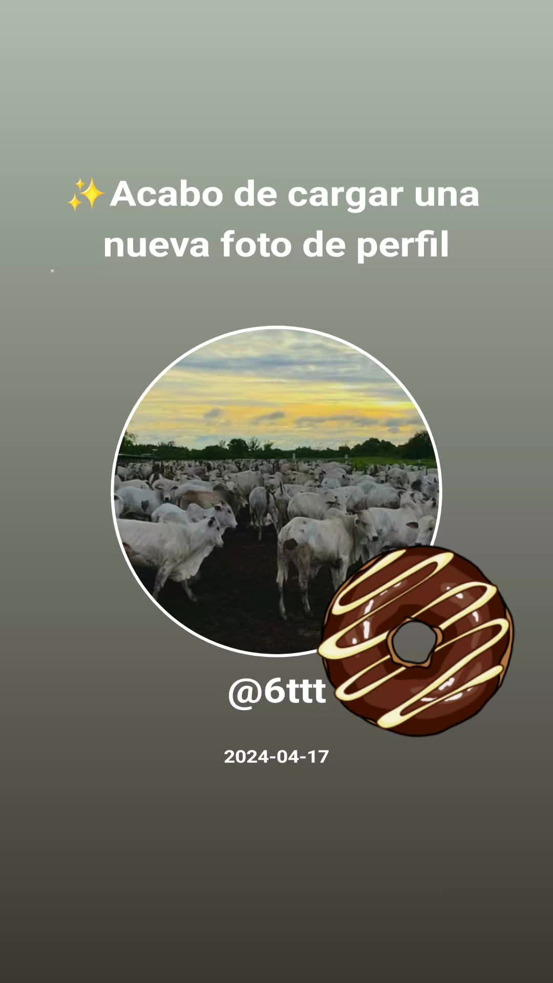 @6ttt
