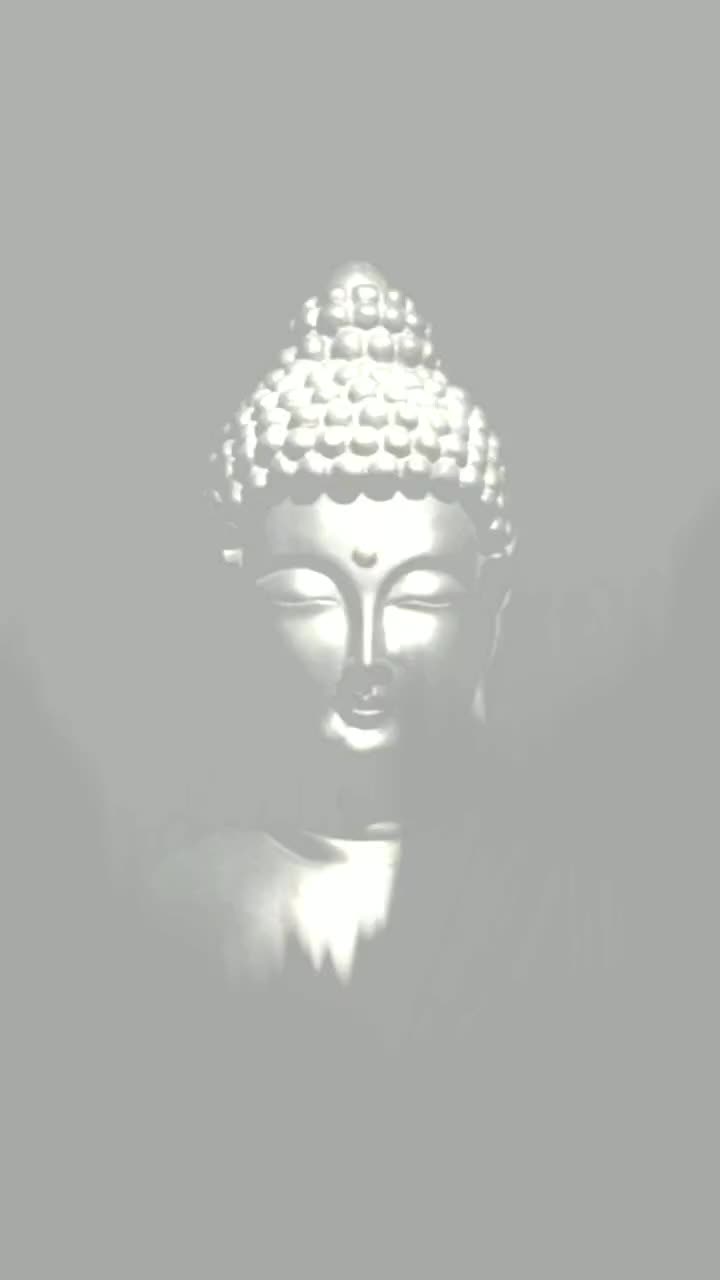 @Yash Shinde
