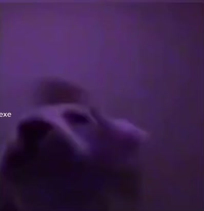 @Anbu