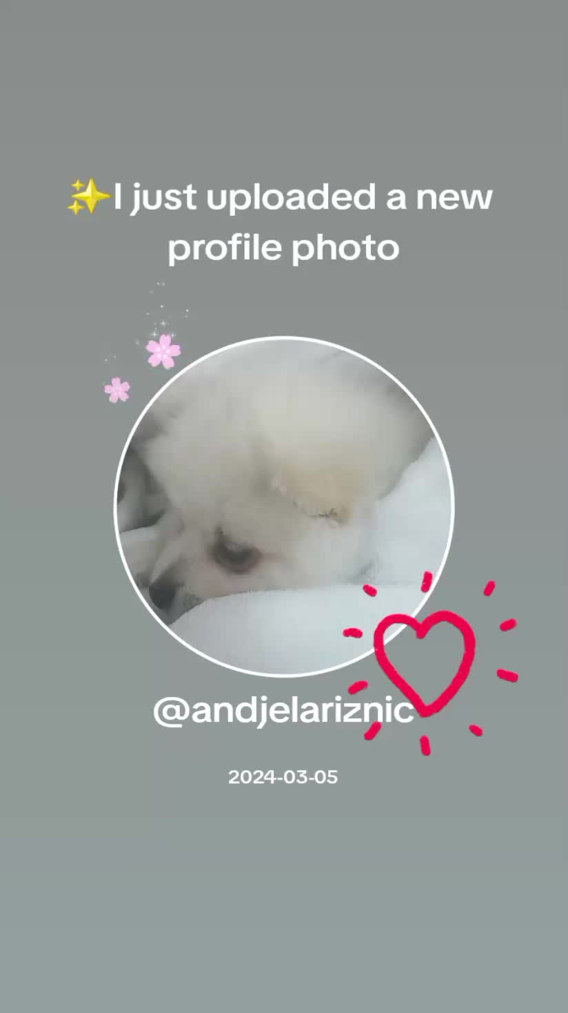 @andjelariznic