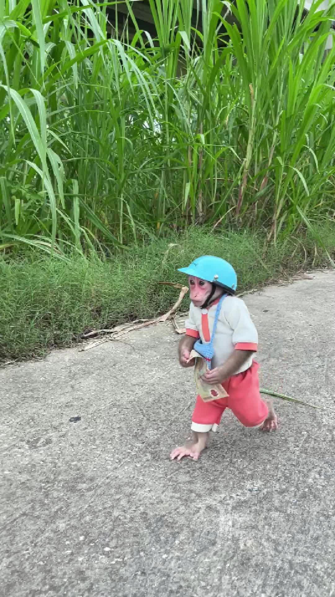 @Lilymonkey