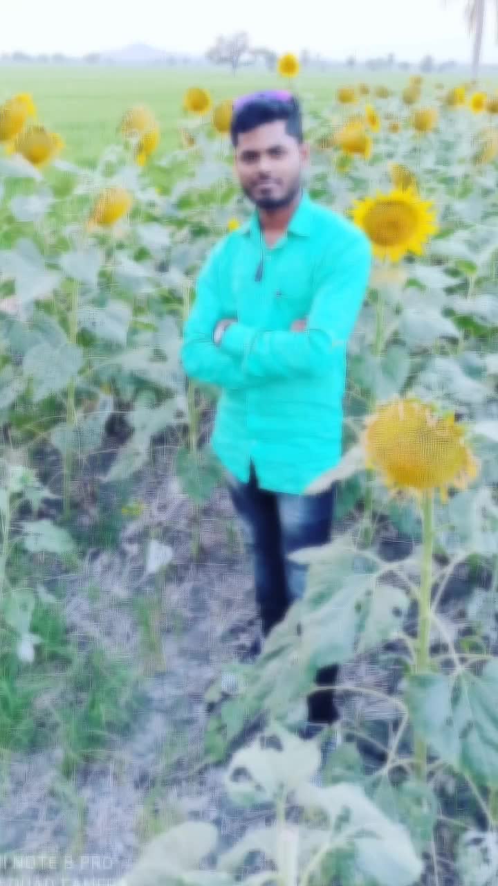 @@Mr.Hameed