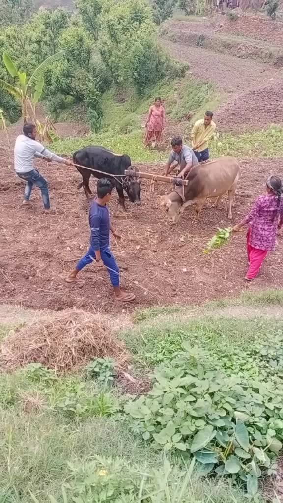 @pyar ka diwana