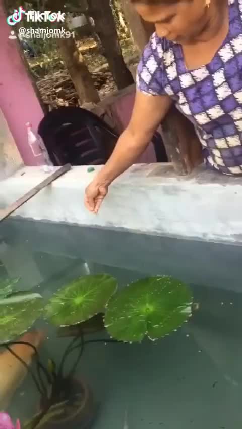 @Shamjomkmk