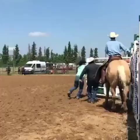 @RodeoWrecksFanPage