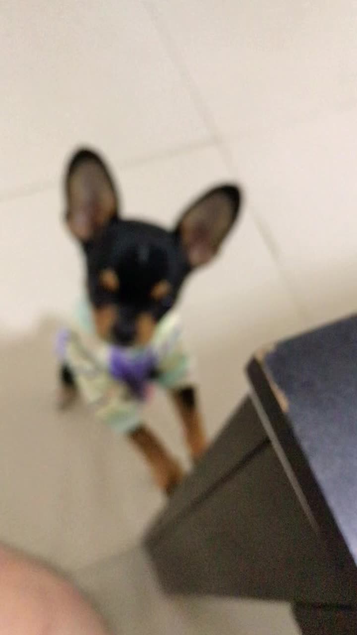 @คนสร้างฝัน