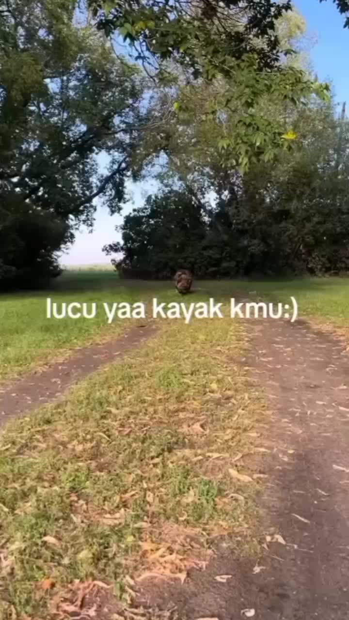 @natasya