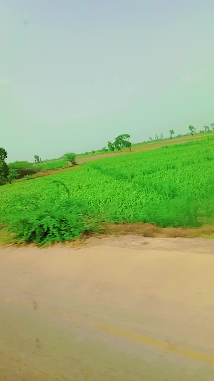@Maghan singh sodha