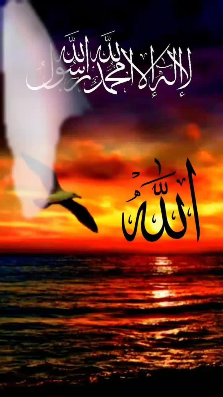 @Kashmiri