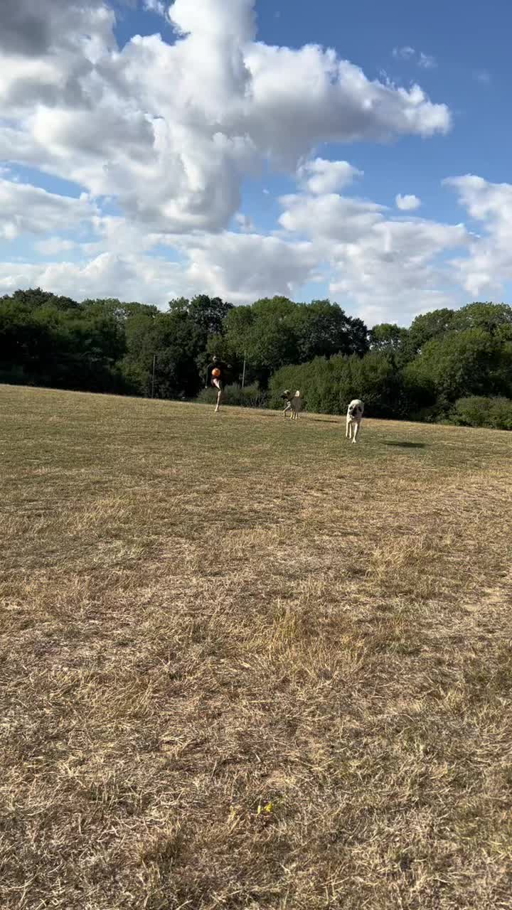 @essexkangals