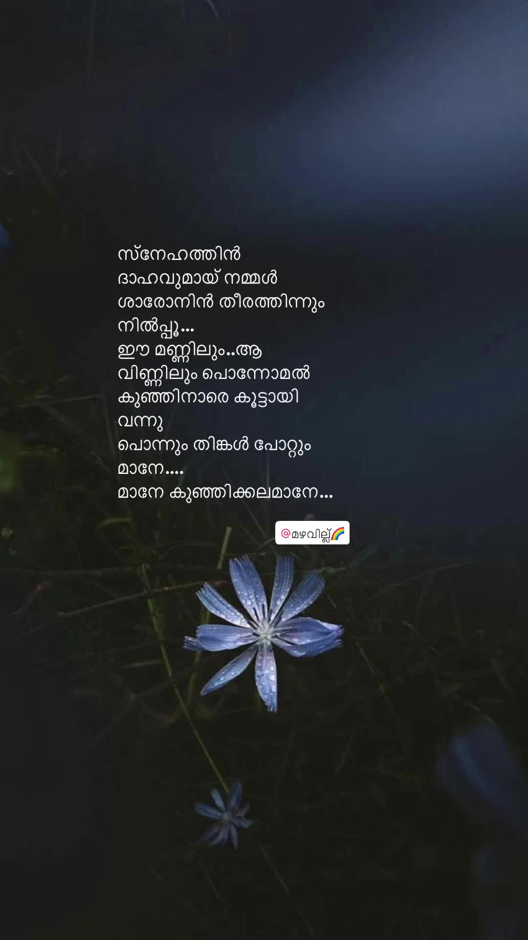 @മഴവില്ല്🌈