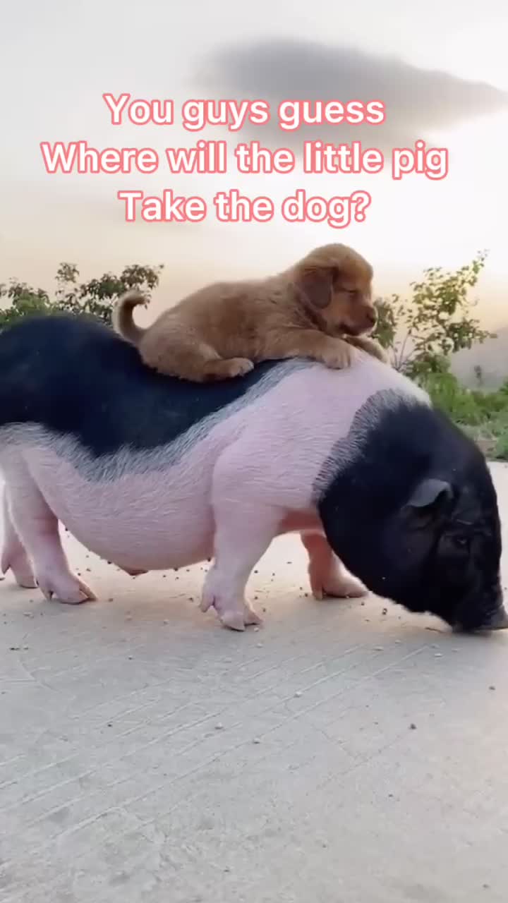 @Fun took