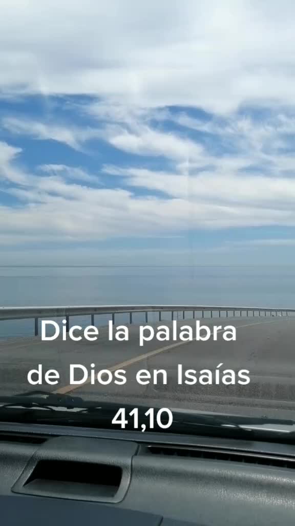 @Lorena Leal