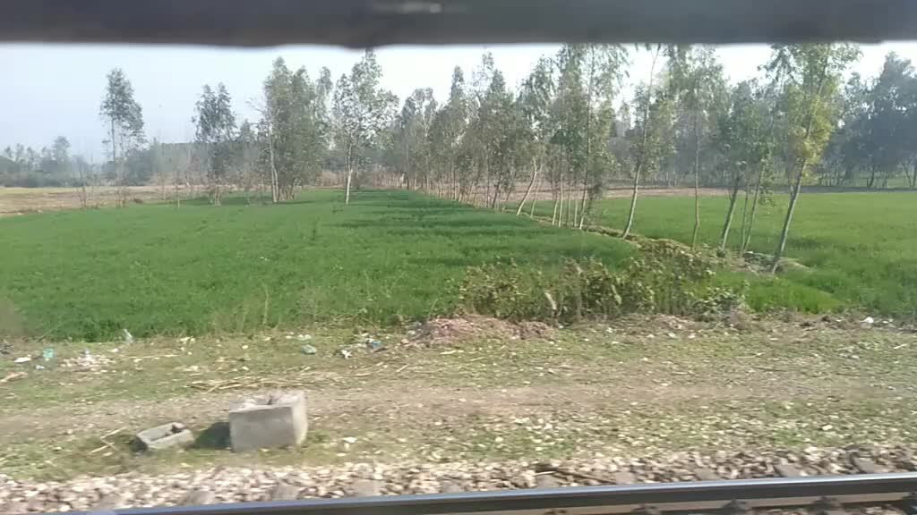 @mansilodhi