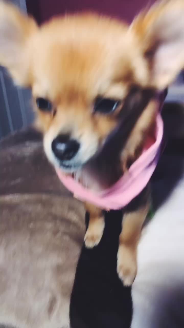 @Baby.tiny
