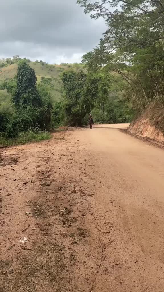 @Ariene Abreu