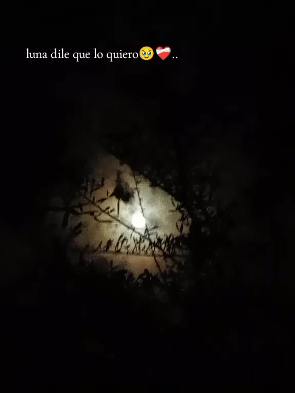 @fatima🧡