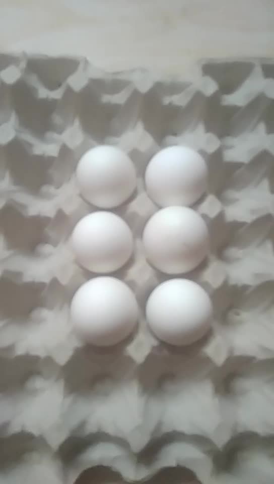 @vvv.mahesh