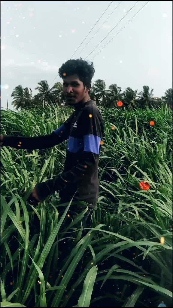@Selva