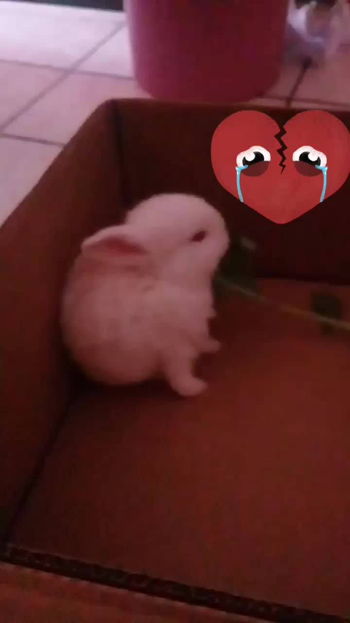 @camila.gruber