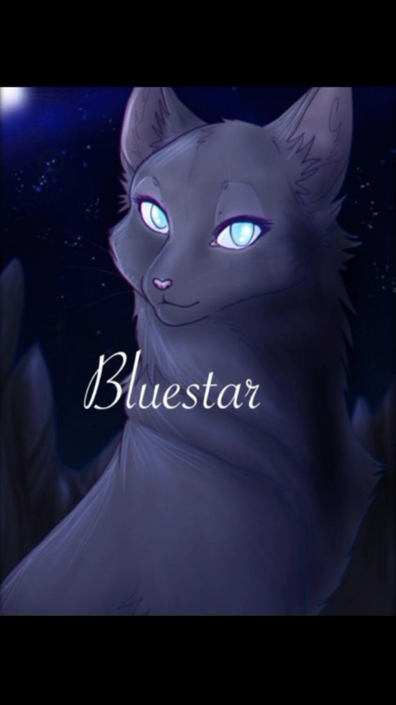 @Warrior Cats