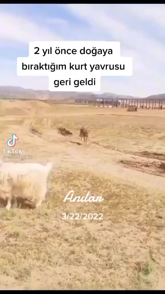 @TURGUT Ekiz 0920