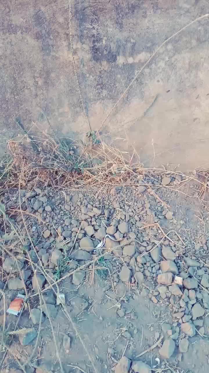 @user8642210878031