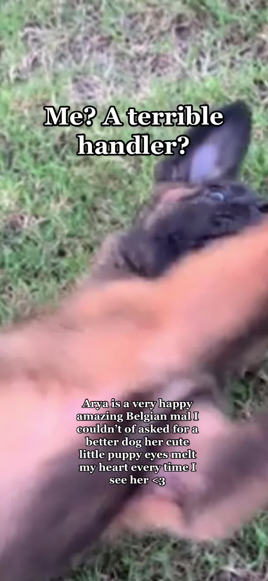 @｡･:*˚:✧｡𝗞𝗜𝗔𝗥𝗘𝗬𝗔