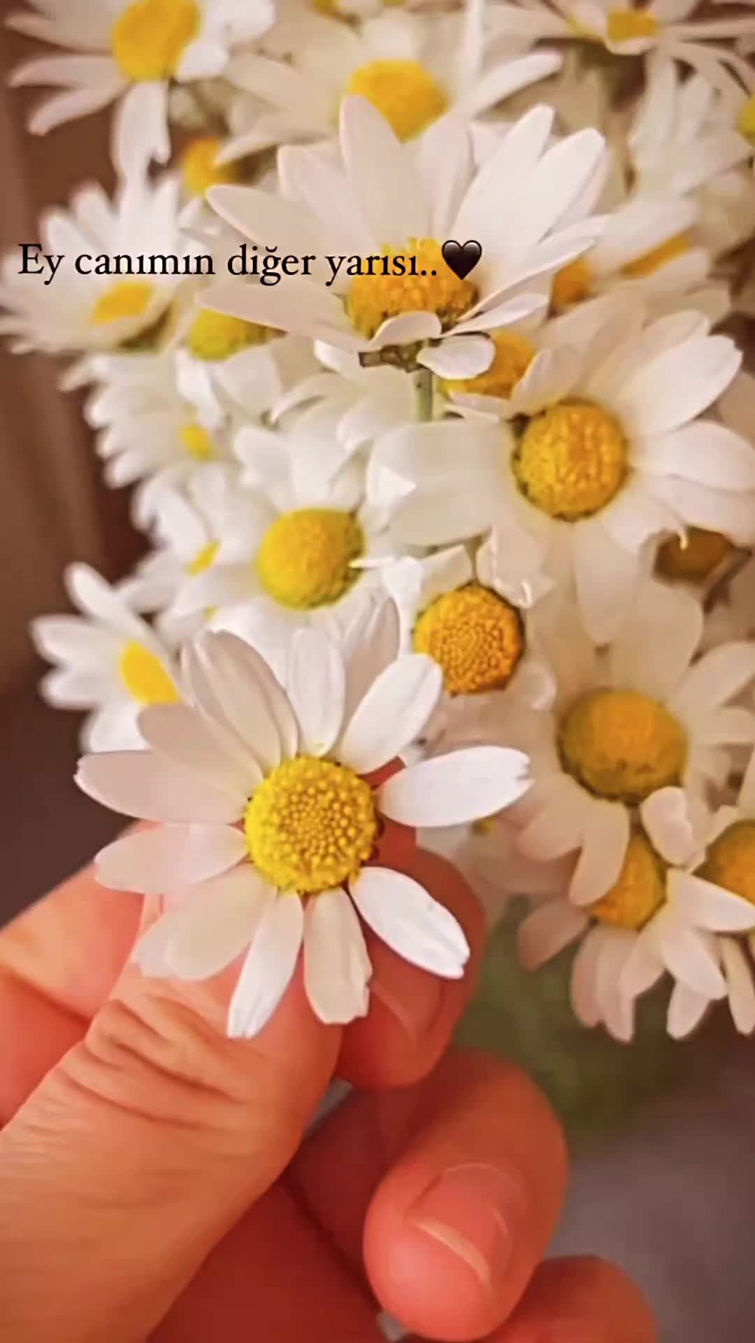 @aslıhnarass