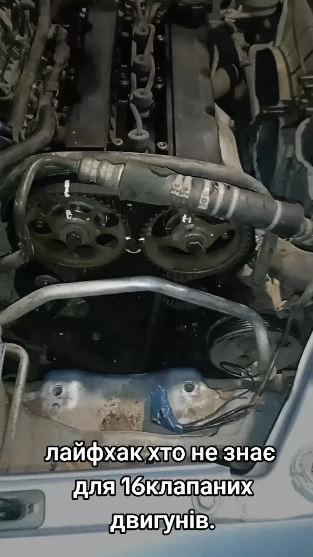@motor's