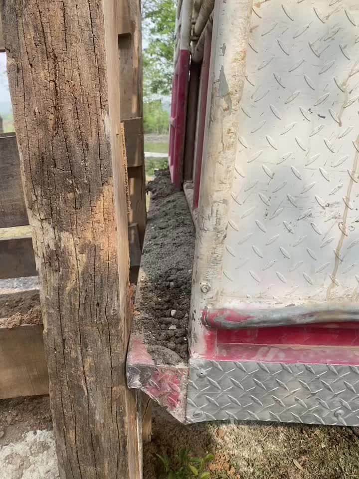 @Alex González🤠38