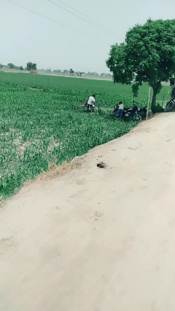 @MASRUWALA 07