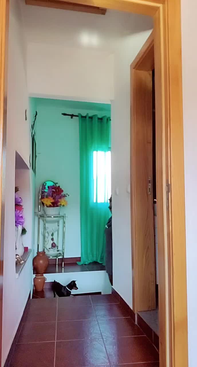 @Isabel Batista