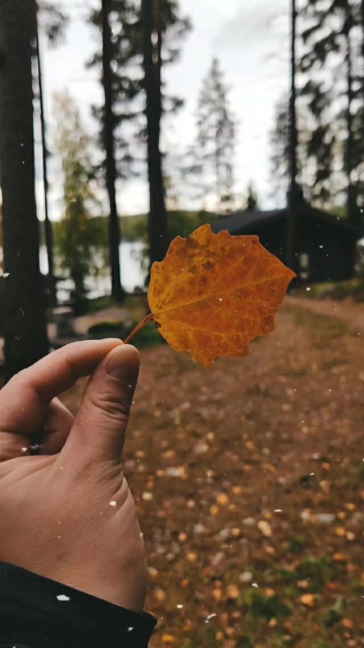 @Katri Laitinen