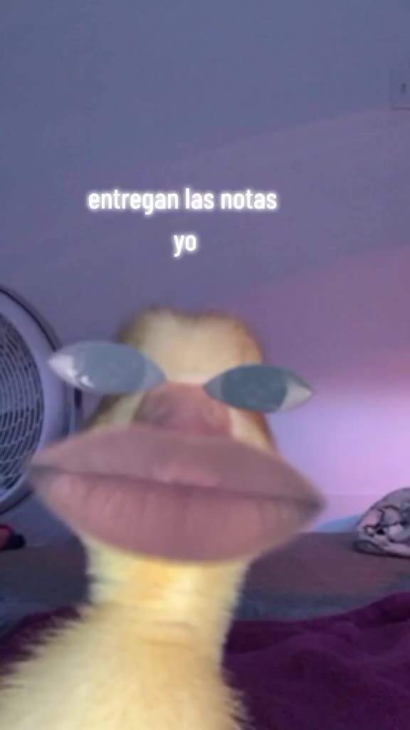 @mariana_montes0967