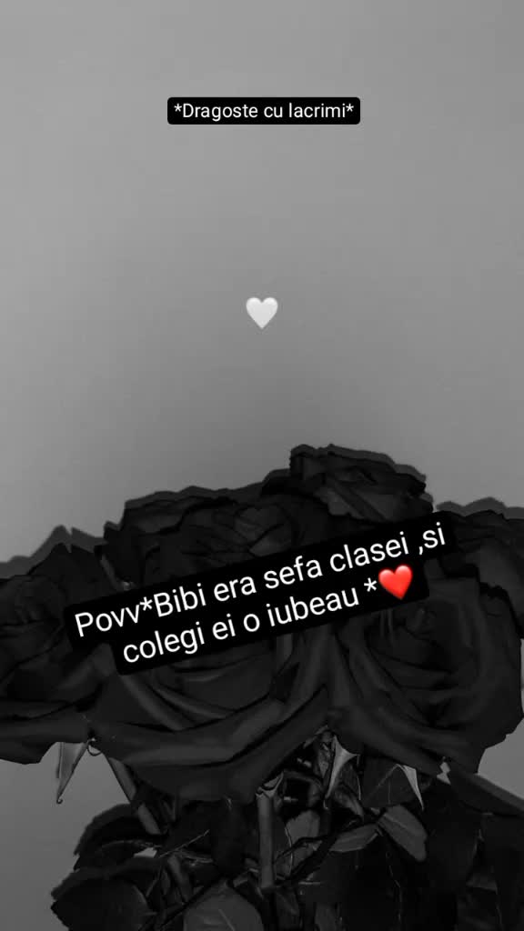 @povv🤪💗😻