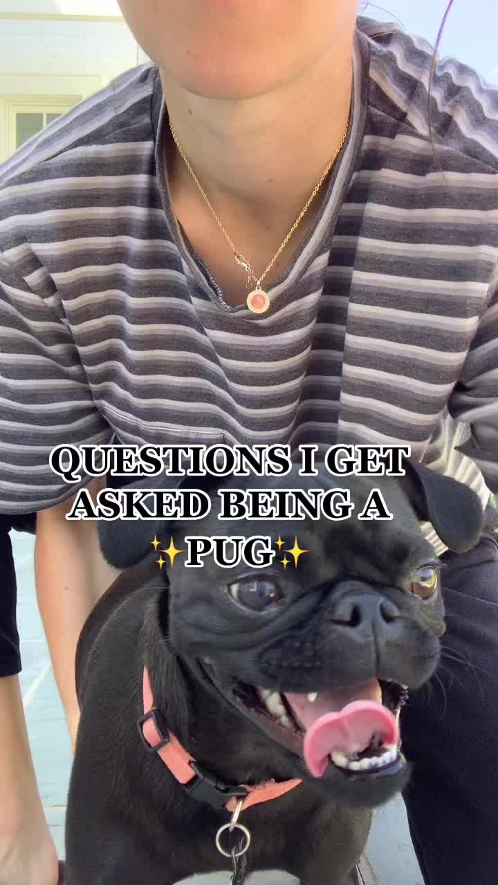 @becky