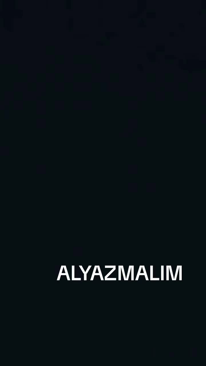@ÇILGIN KAMYONCU