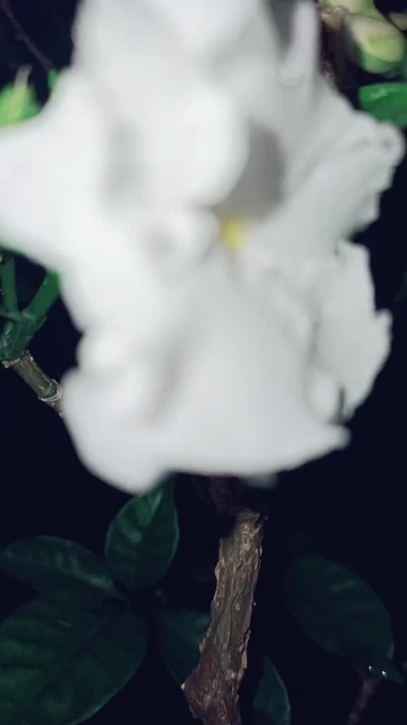@suryapawar714