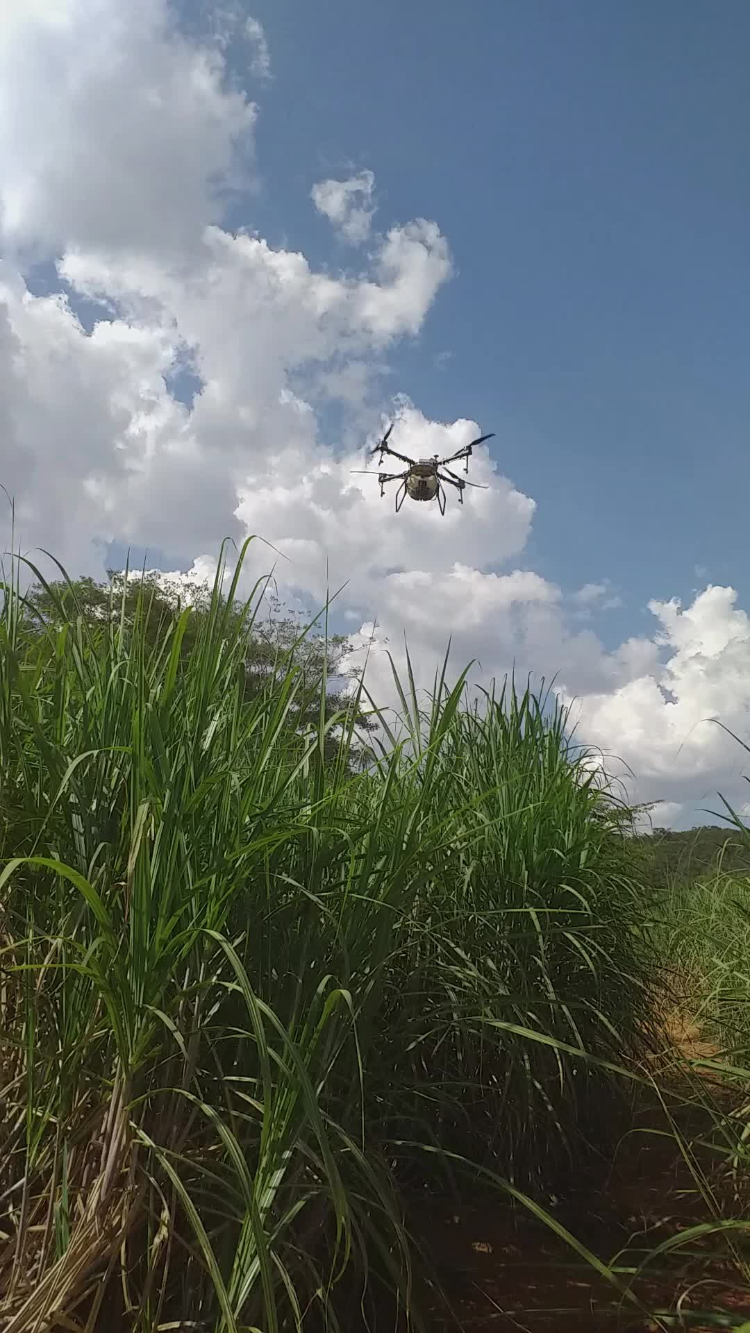 @ciência e tecnologia