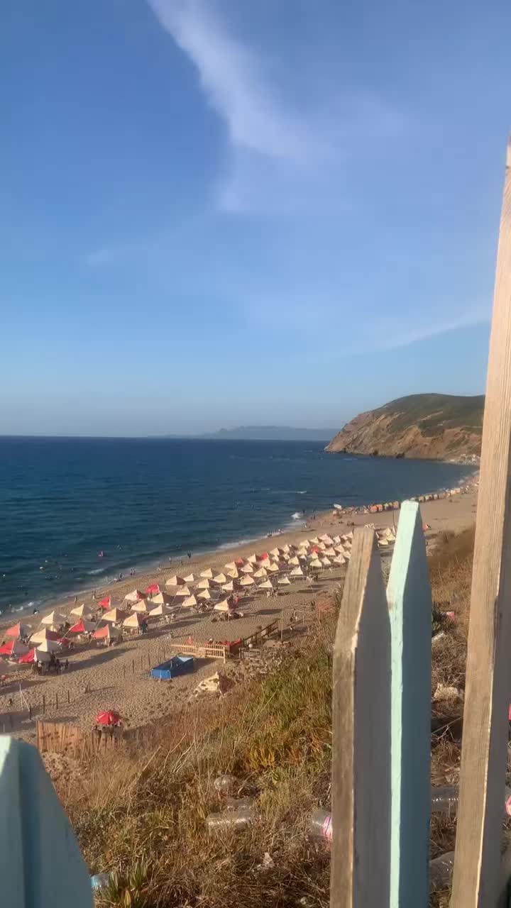@🇩🇿⛔NaP&icirc;i⛔🇩🇿