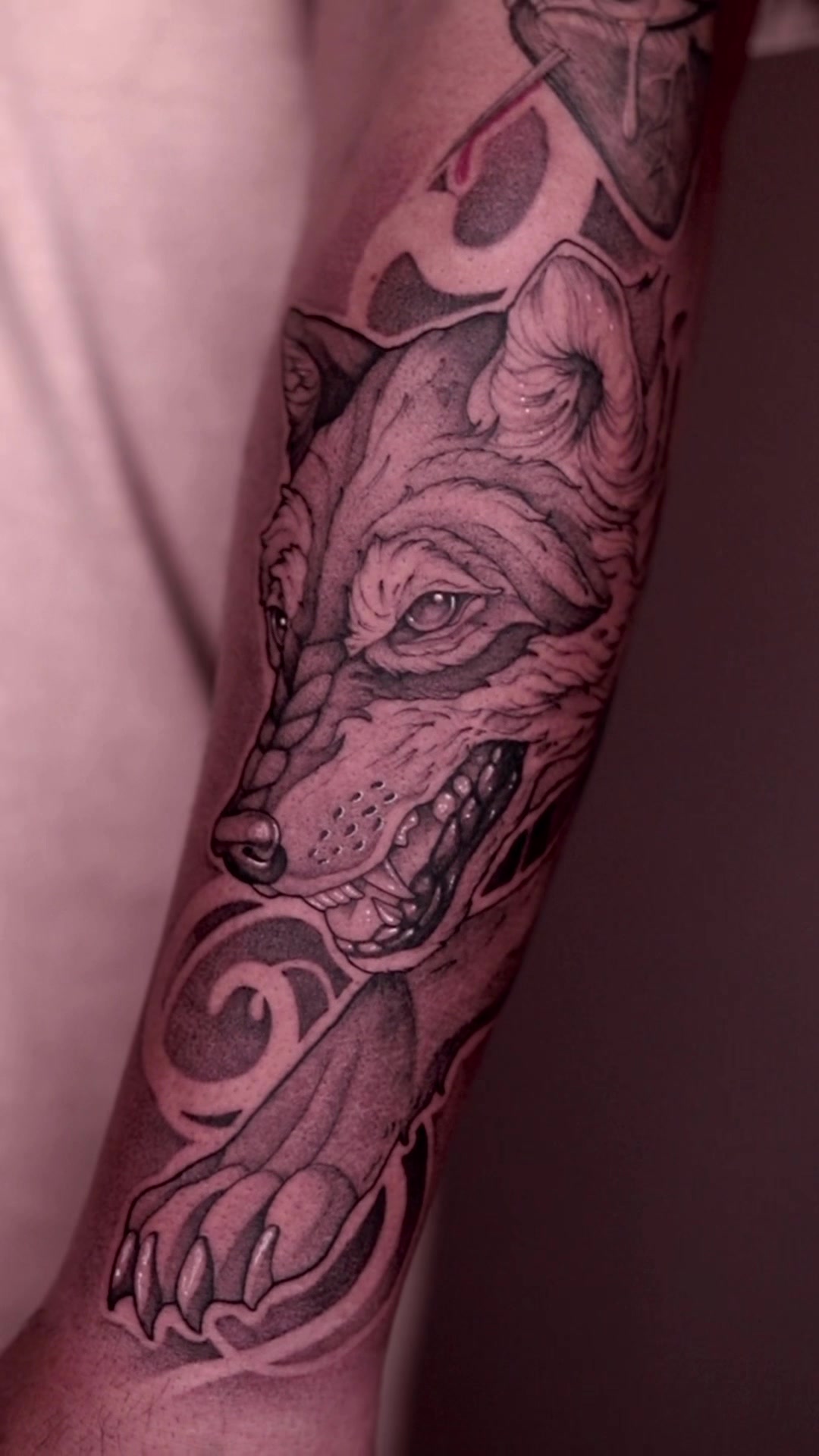 @WOLF