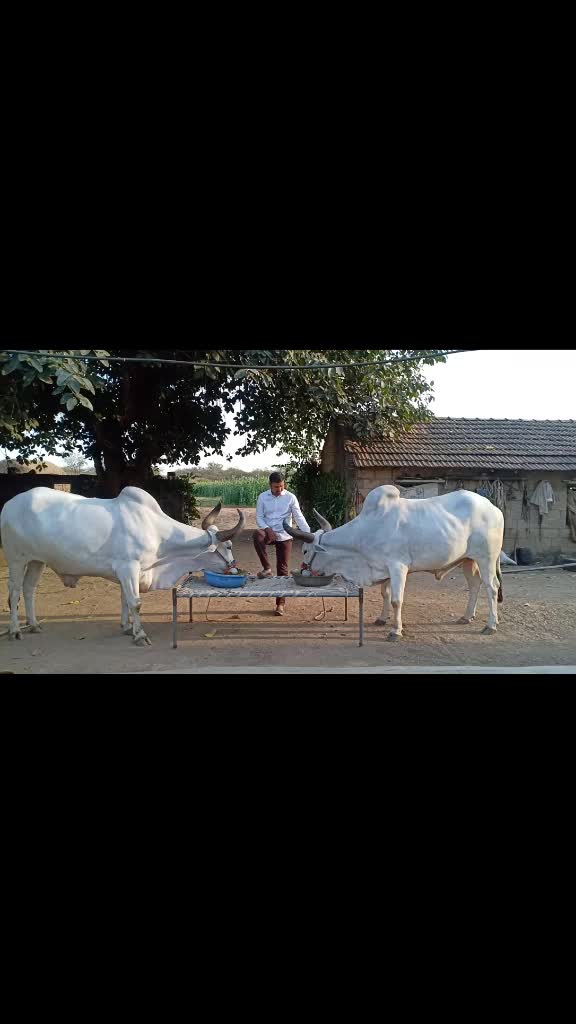 @Hardik8920