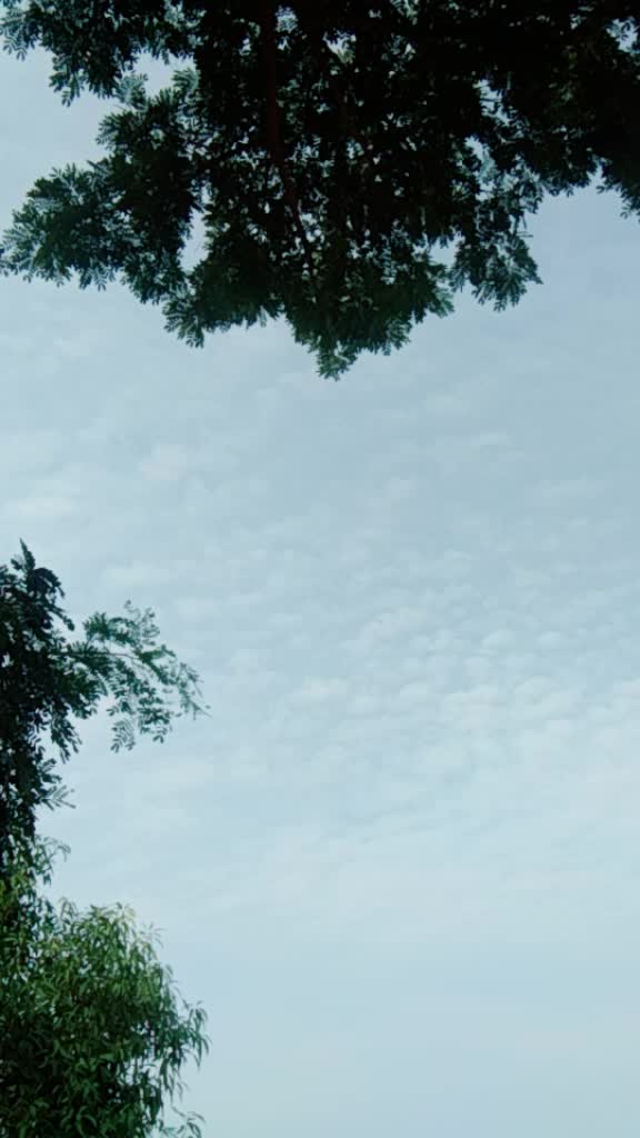 @smath0110