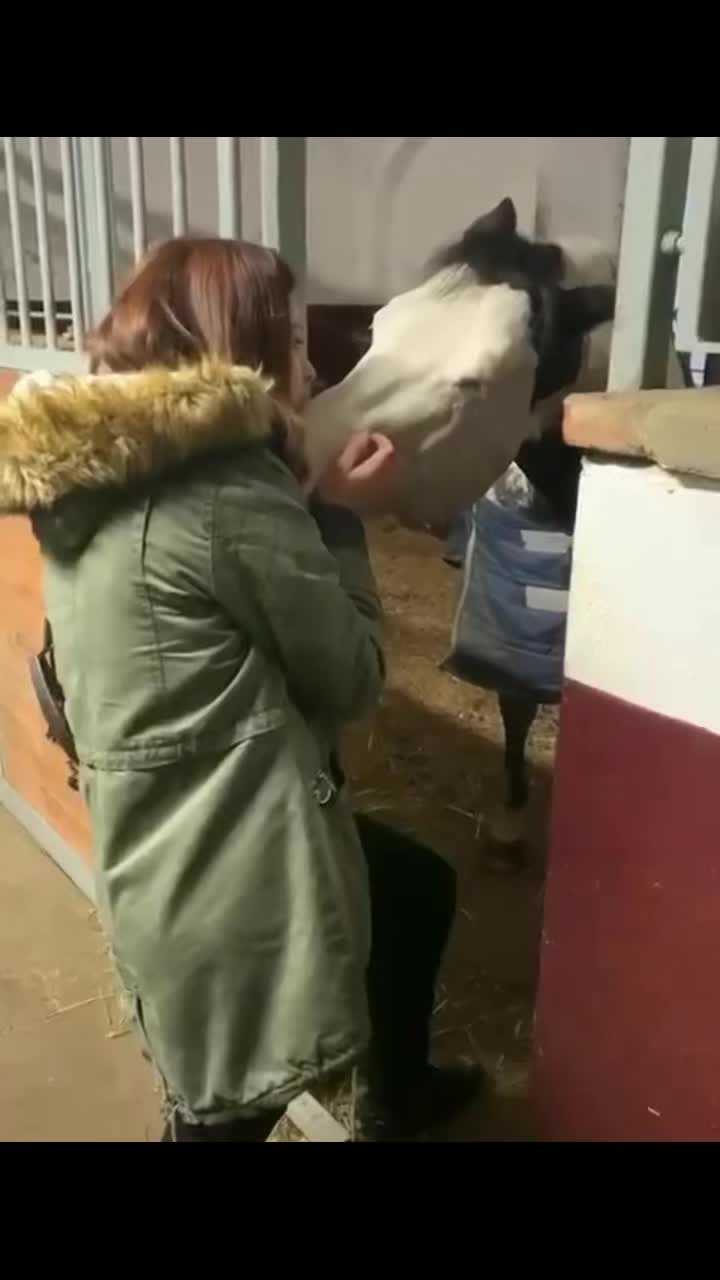 @Sofia Molinaro🏳️🌈🏳️🌈
