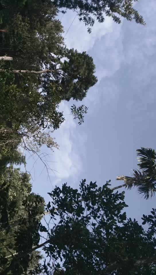 @Manoj Raveendran