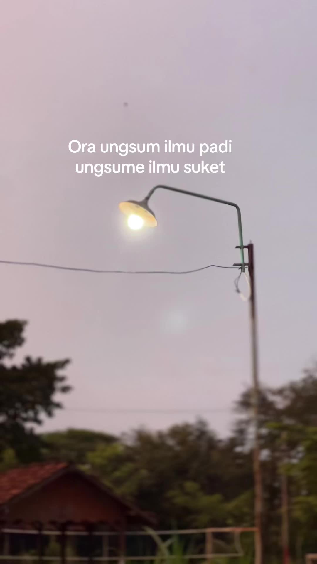 @dahnggedheell_luumzz