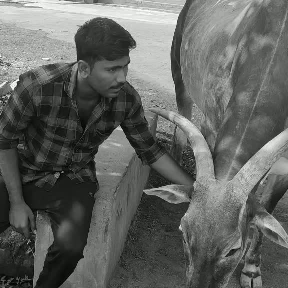 @ಸಂದೇಶ್ ನಾಮಧಾರಿ